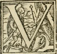 An illustration from Symbolorvm & emblematvm ex re herbaria desvmtorvm centvria vna (1590)