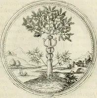 An illustration from Symbolorvm & emblematvm ex re herbaria desvmtorvm centvria vna (1590)
