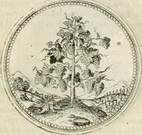 An illustration from Symbolorvm & emblematvm ex re herbaria desvmtorvm centvria vna (1590)