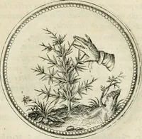 An illustration from Symbolorvm & emblematvm ex re herbaria desvmtorvm centvria vna (1590)