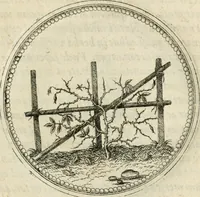 An illustration from Symbolorvm & emblematvm ex re herbaria desvmtorvm centvria vna (1590)