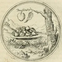 An illustration from Symbolorvm & emblematvm ex re herbaria desvmtorvm centvria vna (1590)
