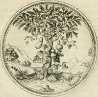An illustration from Symbolorvm & emblematvm ex re herbaria desvmtorvm centvria vna (1590)