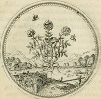 An illustration from Symbolorvm & emblematvm ex re herbaria desvmtorvm centvria vna (1590)