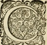 An illustration from Symbolorvm & emblematvm ex re herbaria desvmtorvm centvria vna (1590)