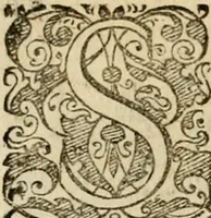 An illustration from Symbolorvm & emblematvm ex re herbaria desvmtorvm centvria vna (1590)