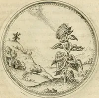 An illustration from Symbolorvm & emblematvm ex re herbaria desvmtorvm centvria vna (1590)