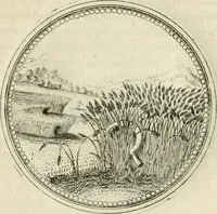 An illustration from Symbolorvm & emblematvm ex re herbaria desvmtorvm centvria vna (1590)