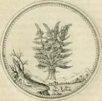 An illustration from Symbolorvm & emblematvm ex re herbaria desvmtorvm centvria vna (1590)