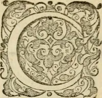 An illustration from Symbolorvm & emblematvm ex re herbaria desvmtorvm centvria vna (1590)
