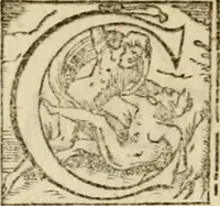 An illustration from Symbolorvm & emblematvm ex re herbaria desvmtorvm centvria vna (1590)