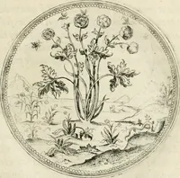 An illustration from Symbolorvm & emblematvm ex re herbaria desvmtorvm centvria vna (1590)