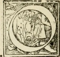 An illustration from Symbolorvm & emblematvm ex re herbaria desvmtorvm centvria vna (1590)