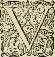 An illustration from Symbolorvm & emblematvm ex re herbaria desvmtorvm centvria vna (1590)