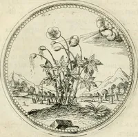 An illustration from Symbolorvm & emblematvm ex re herbaria desvmtorvm centvria vna (1590)