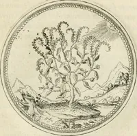 An illustration from Symbolorvm & emblematvm ex re herbaria desvmtorvm centvria vna (1590)