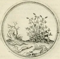 An illustration from Symbolorvm & emblematvm ex re herbaria desvmtorvm centvria vna (1590)