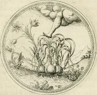 An illustration from Symbolorvm & emblematvm ex re herbaria desvmtorvm centvria vna (1590)