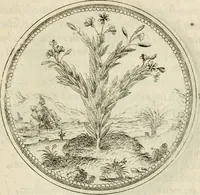 An illustration from Symbolorvm & emblematvm ex re herbaria desvmtorvm centvria vna (1590)