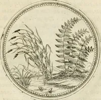 An illustration from Symbolorvm & emblematvm ex re herbaria desvmtorvm centvria vna (1590)