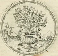 An illustration from Symbolorvm & emblematvm ex re herbaria desvmtorvm centvria vna (1590)