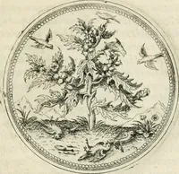 An illustration from Symbolorvm & emblematvm ex re herbaria desvmtorvm centvria vna (1590)