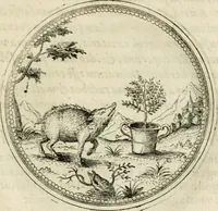 An illustration from Symbolorvm & emblematvm ex re herbaria desvmtorvm centvria vna (1590)
