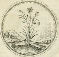 An illustration from Symbolorvm & emblematvm ex re herbaria desvmtorvm centvria vna (1590)