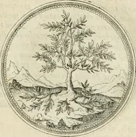 An illustration from Symbolorvm & emblematvm ex re herbaria desvmtorvm centvria vna (1590)