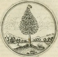 An illustration from Symbolorvm & emblematvm ex re herbaria desvmtorvm centvria vna (1590)