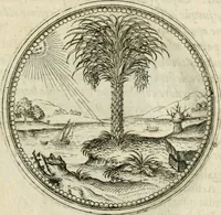 An illustration from Symbolorvm & emblematvm ex re herbaria desvmtorvm centvria vna (1590)