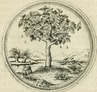 An illustration from Symbolorvm & emblematvm ex re herbaria desvmtorvm centvria vna (1590)