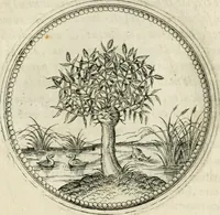 An illustration from Symbolorvm & emblematvm ex re herbaria desvmtorvm centvria vna (1590)