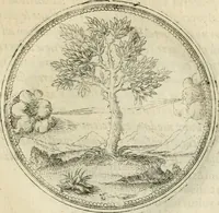 An illustration from Symbolorvm & emblematvm ex re herbaria desvmtorvm centvria vna (1590)