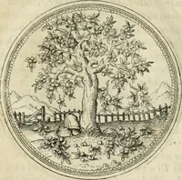 An illustration from Symbolorvm & emblematvm ex re herbaria desvmtorvm centvria vna (1590)