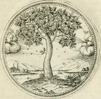 An illustration from Symbolorvm & emblematvm ex re herbaria desvmtorvm centvria vna (1590)
