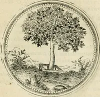 An illustration from Symbolorvm & emblematvm ex re herbaria desvmtorvm centvria vna (1590)