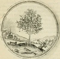 An illustration from Symbolorvm & emblematvm ex re herbaria desvmtorvm centvria vna (1590)