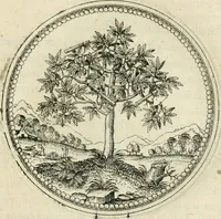 An illustration from Symbolorvm & emblematvm ex re herbaria desvmtorvm centvria vna (1590)