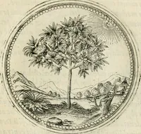 An illustration from Symbolorvm & emblematvm ex re herbaria desvmtorvm centvria vna (1590)