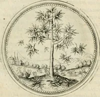 An illustration from Symbolorvm & emblematvm ex re herbaria desvmtorvm centvria vna (1590)