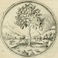 An illustration from Symbolorvm & emblematvm ex re herbaria desvmtorvm centvria vna (1590)