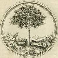 An illustration from Symbolorvm & emblematvm ex re herbaria desvmtorvm centvria vna (1590)