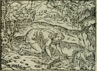 An illustration from Emblemes d'Alciat : en latin et francois vers povr vers (1574)