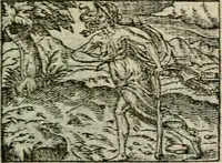 An illustration from Emblemes d'Alciat : en latin et francois vers povr vers (1574)