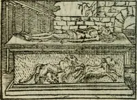 An illustration from Emblemes d'Alciat : en latin et francois vers povr vers (1574)