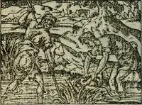An illustration from Emblemes d'Alciat : en latin et francois vers povr vers (1574)