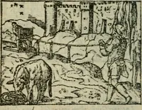 An illustration from Emblemes d'Alciat : en latin et francois vers povr vers (1574)