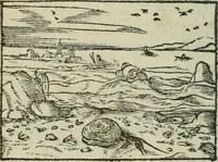 An illustration from Emblemes d'Alciat : en latin et francois vers povr vers (1574)