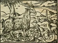 An illustration from Emblemes d'Alciat : en latin et francois vers povr vers (1574)